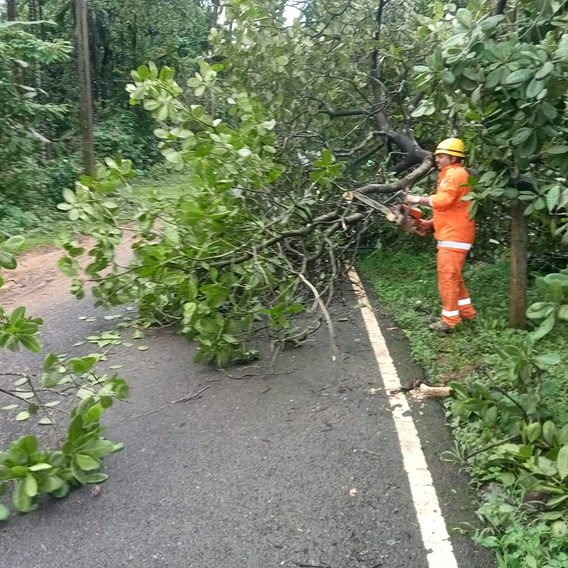 सत्तरीला चक्रीवादळाचा तडाखा; जनजीवन विस्कळीत