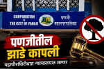 पणजीतील झाडे कापली;महापौरांविरोधात न्यायालयात जाणार: गोवा ग्रीन ब्रिगेड