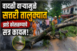 वादळी वाऱ्यामुळे सत्तरी तालुक्यात झाडे कोसळण्याचे सत्र कायम