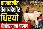 बाणावलीत बेकायदेशीर धिरयो आयोजन, दोघांवर गुन्हा