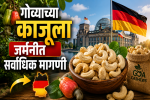 गोव्याच्या काजूला जर्मनीत सर्वाधिक मागणी