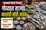 पावसाने घेतली विश्रांती; गोव्यात ताज्या माशांची बाजारात मोठी आवक