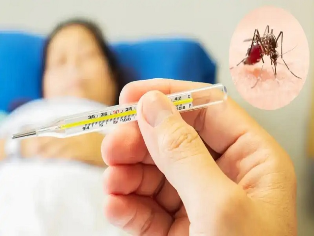 राज्यात जुलै महिन्यात डेंग्यूचे ८८२ संशयित रुग्ण