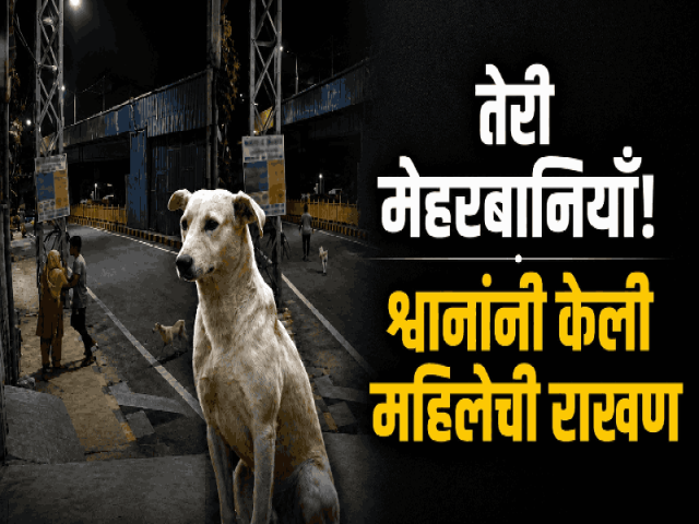 कोइम्बतूर: भटक्या श्वानांनी हाणून पाडला आजारी महिलेवरील अत्याचाराचा प्रयत्न; १६ वर्षीय संशयित जेरबंद
