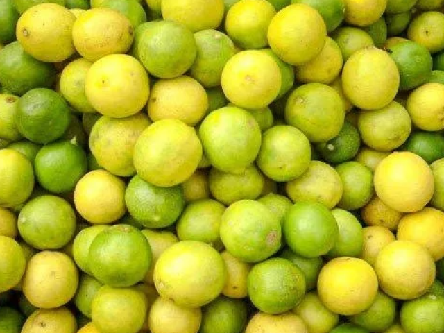 पणजी बाजारात लिंबू १२ रुपयांना एक