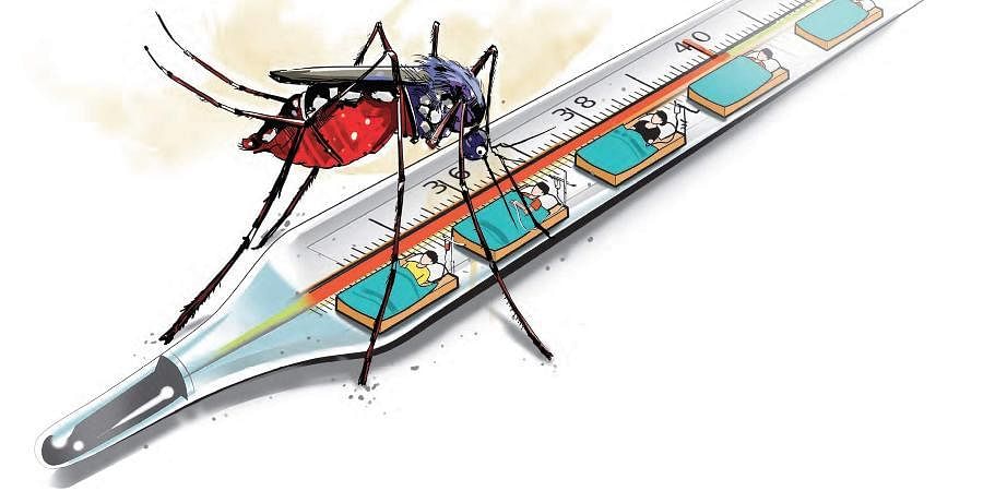 म्हापशात डेंग्यूचे सात रुग्ण