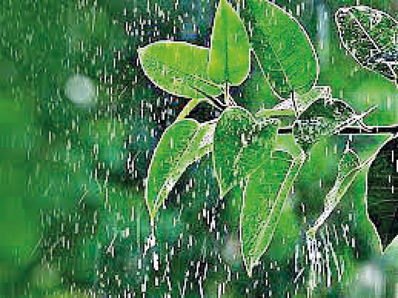 एक सेल्फी तो बनता है यार !!...