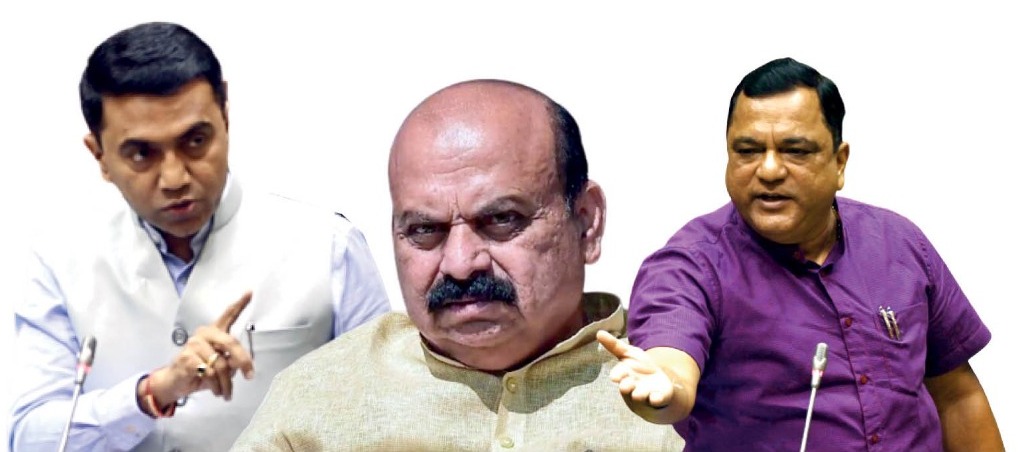 म्हादईच्या लढ्यात गोव्याचाच विजय : डॉ. सावंत