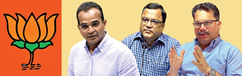 मंत्रिमंडळ फेररचना : भाजपचे प्राधान्यक्रम का बदलत आहेत?