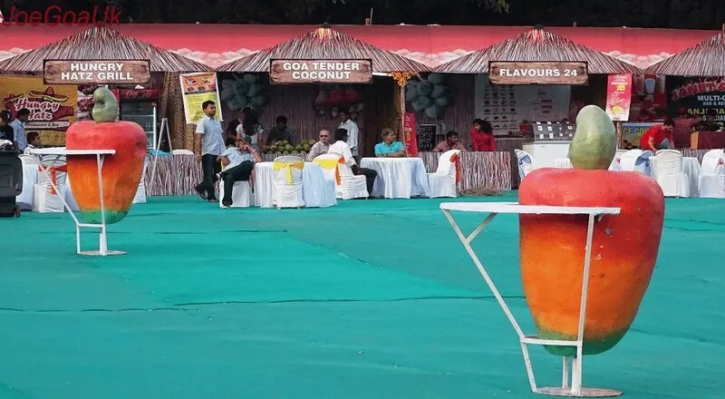 काजू महोत्सव उत्पादकांना दिलासादायक उपक्रम...