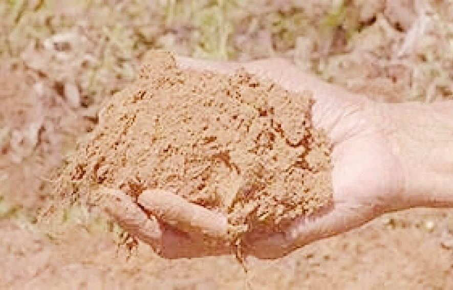 गोव्यातील मृदेचे बिघडते आरोग्य