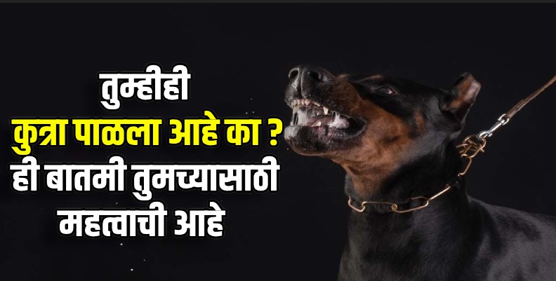 पाळीव कुत्रा चावल्यास मालकाला द्यावा लागणार उपचार खर्च, भरपाई