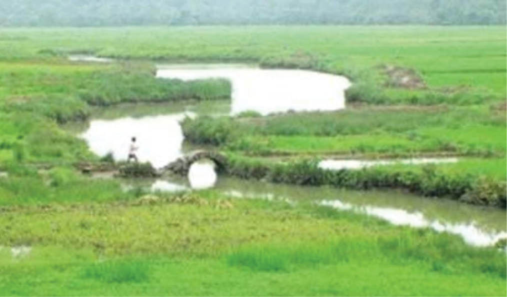 कोमुनिदादींचे संवर्धन !