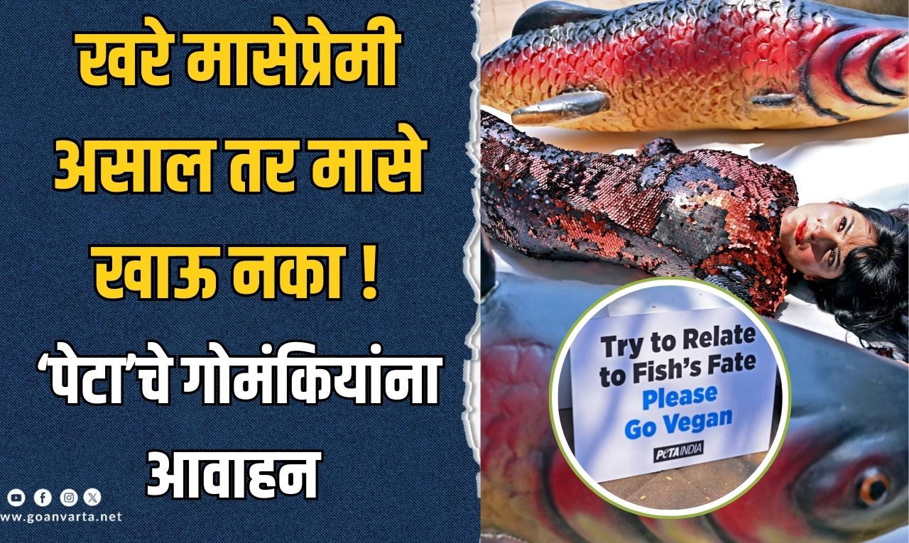 मासे खाणे थांबवा आणि मासेप्रेमी बना !