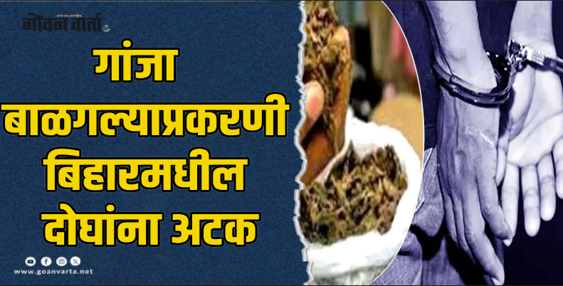 तिसवाडी : खोर्लीत जुने गोवे पोलिसांची छापेमारी; २ किलो गांजा जप्त