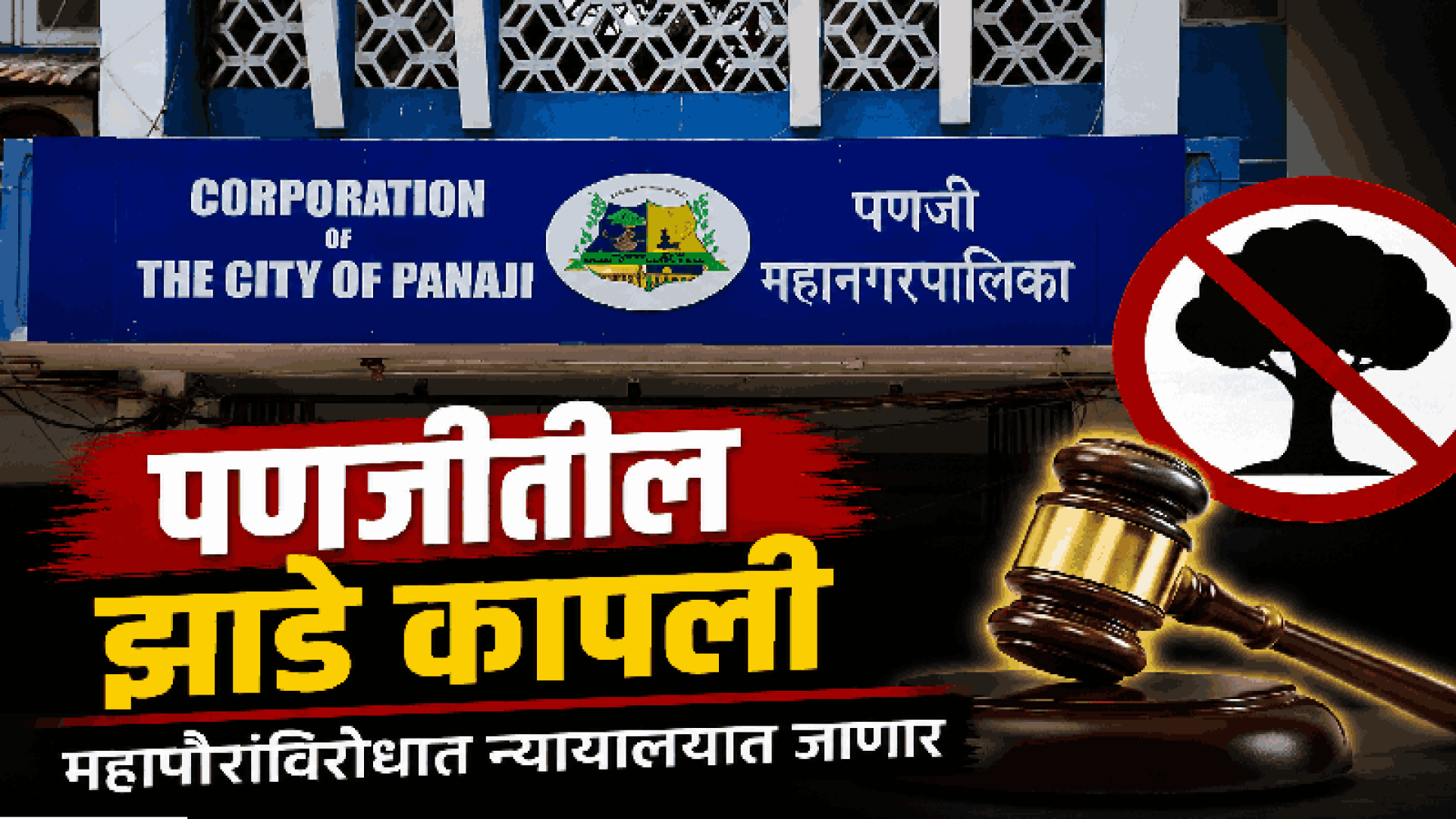 पणजीतील झाडे कापली;महापौरांविरोधात न्यायालयात जाणार: गोवा ग्रीन ब्रिगेड
