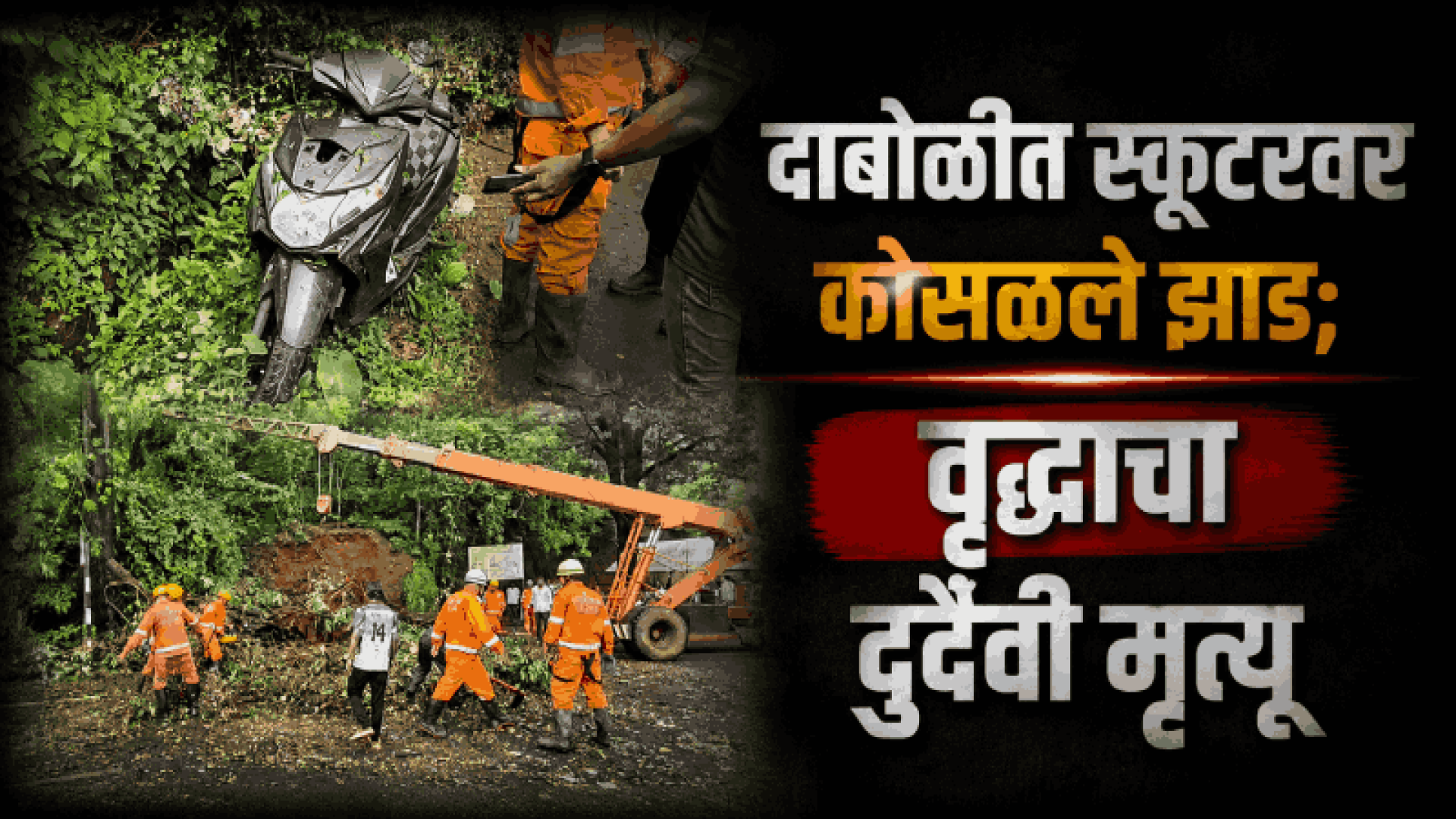 दाबोळी येथे काळ बनून स्कूटरवर कोसळले झाड; वृद्ध चालकाचा मृत्यू