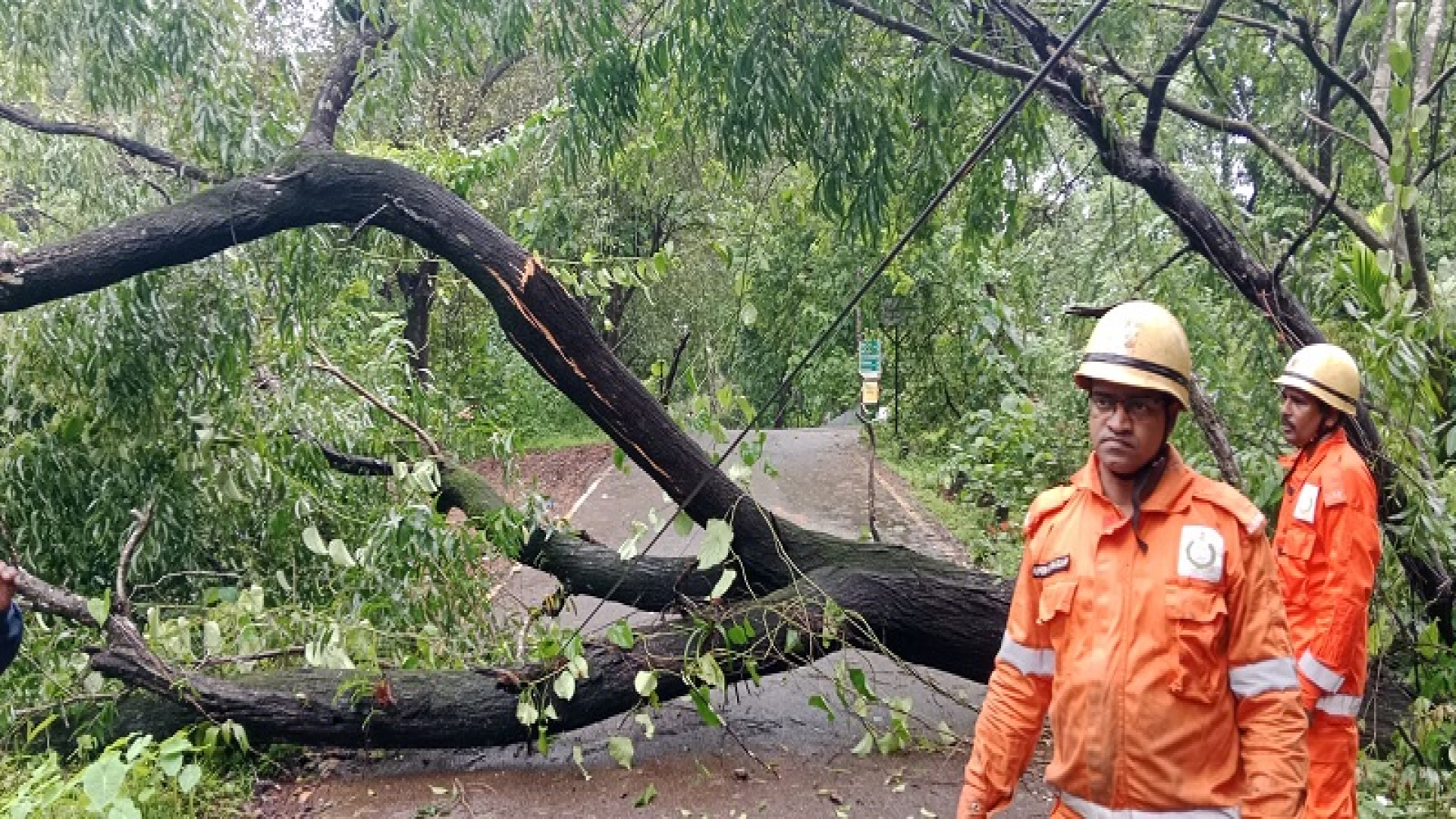 काणकोण, सत्तरी तालुक्यात पडझड