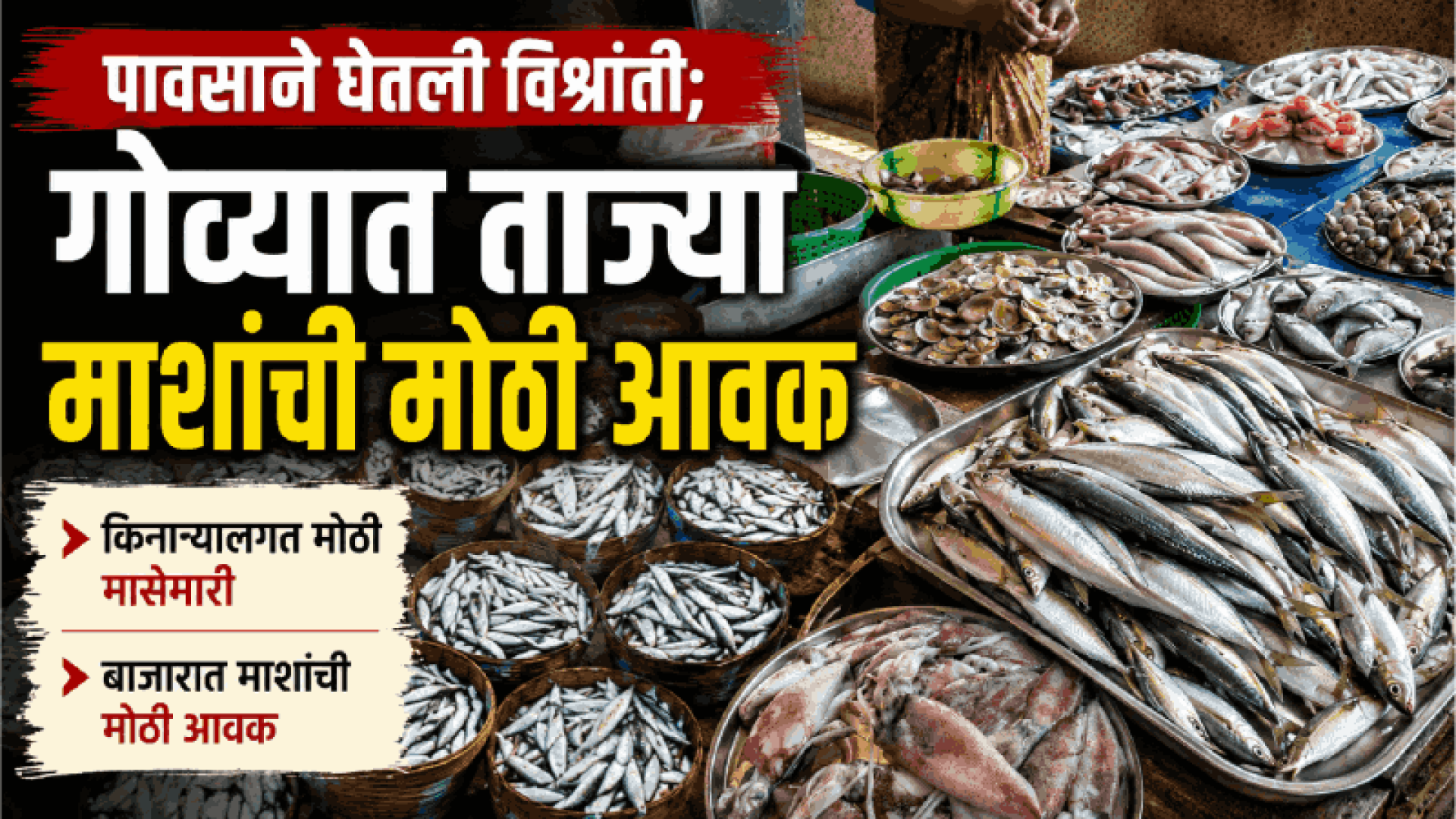 पावसाने घेतली विश्रांती; गोव्यात ताज्या माशांची बाजारात मोठी आवक
