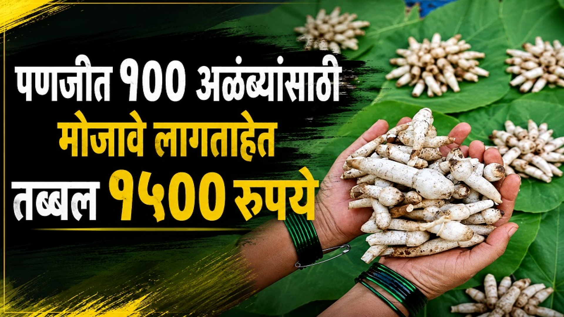 पणजीत १०० अळंब्यांसाठी मोजावे लागताहेत १५०० रुपये