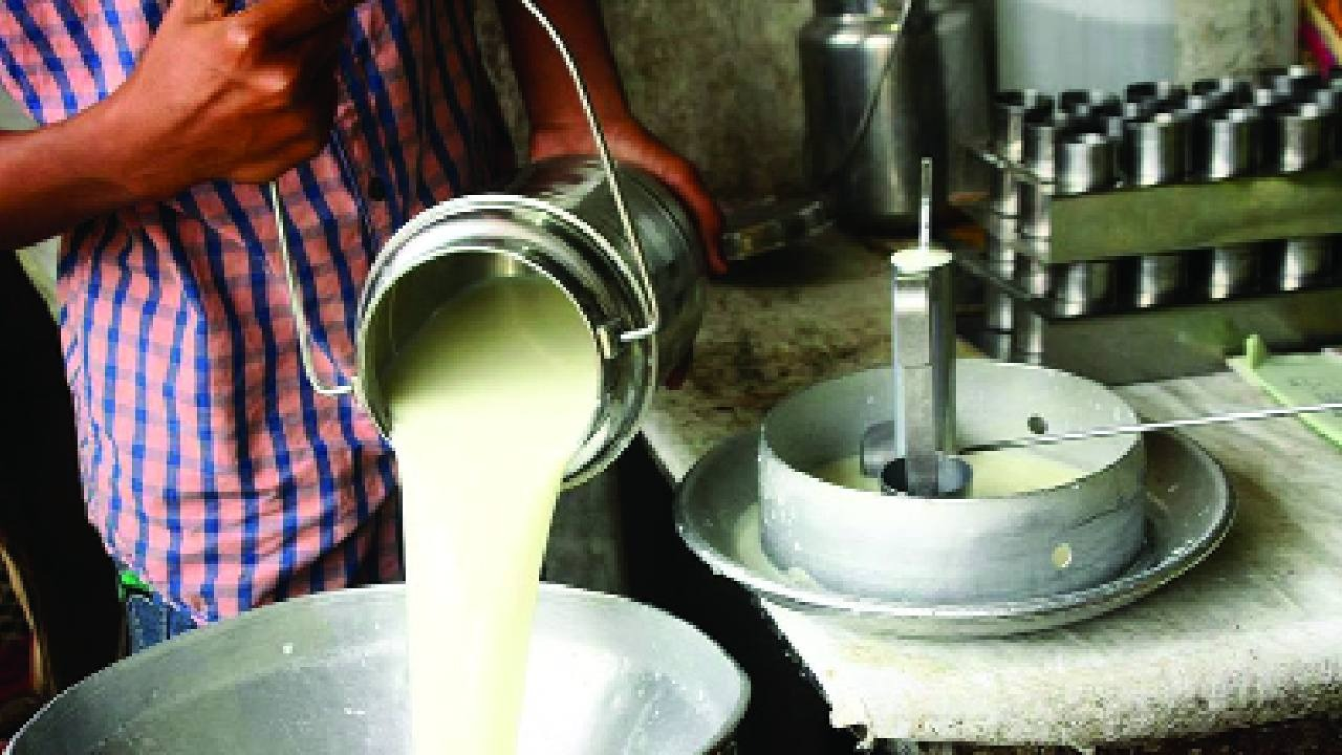 दूधभेसळ कारवाईचा गोव्याला धडा