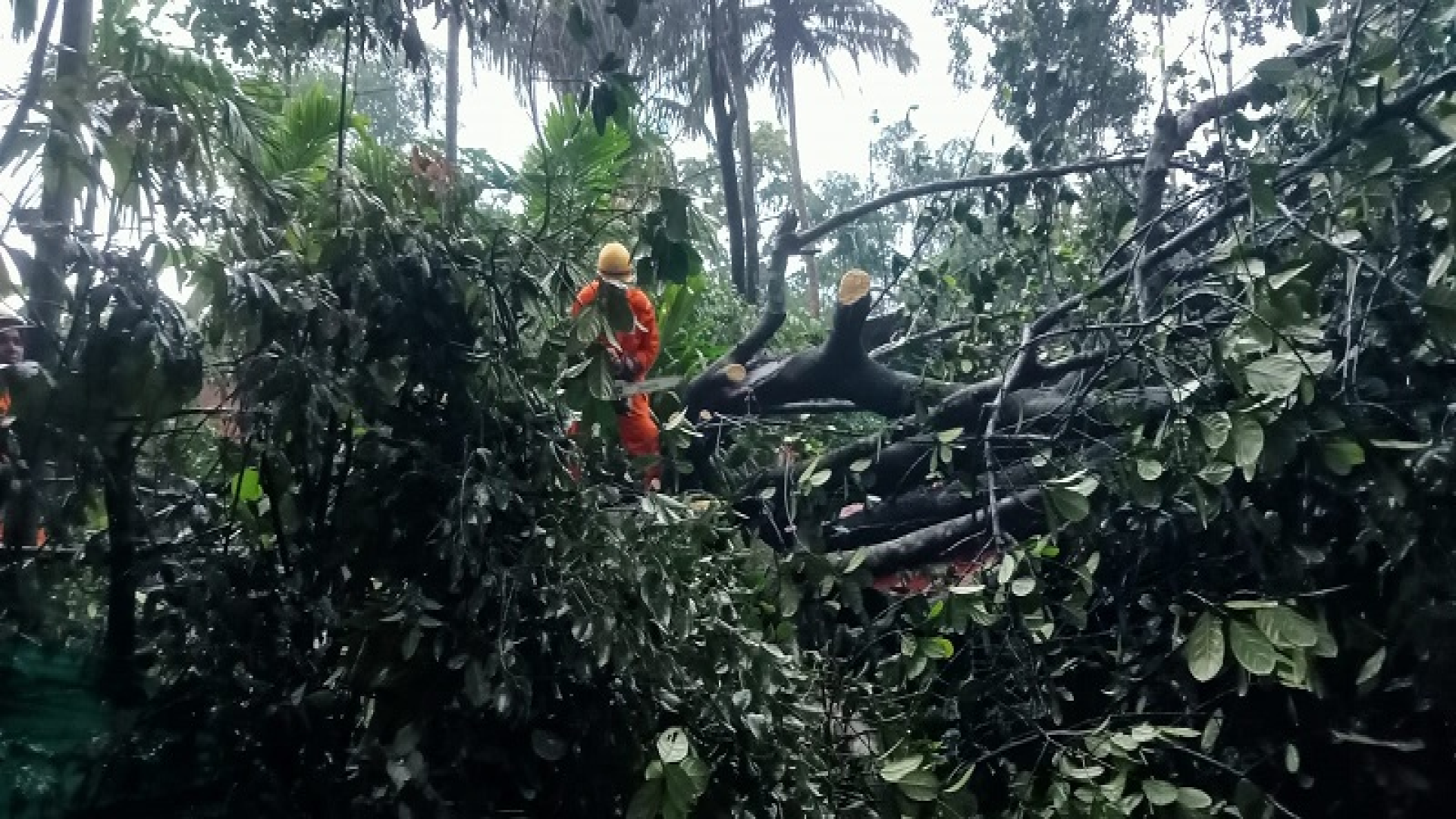 सत्तरीत वादळी वाऱ्याचा कहर; चार घरांचे मोठे नुकसान