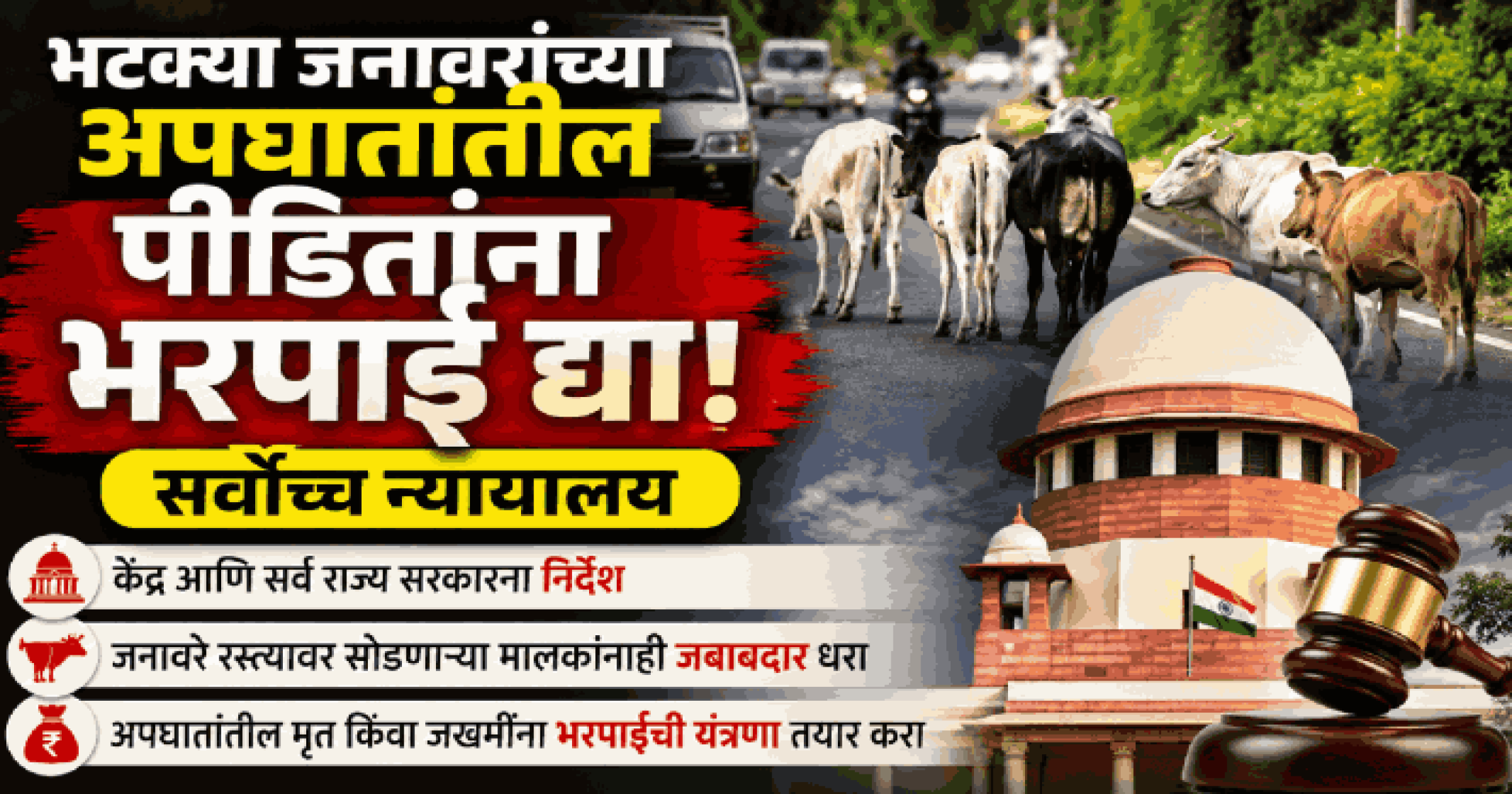 भटक्या जनावरांच्या अपघातांतील पीडितांच्या भरपाईसाठी यंत्रणा उभारा : सर्वोच्च न्यायालय