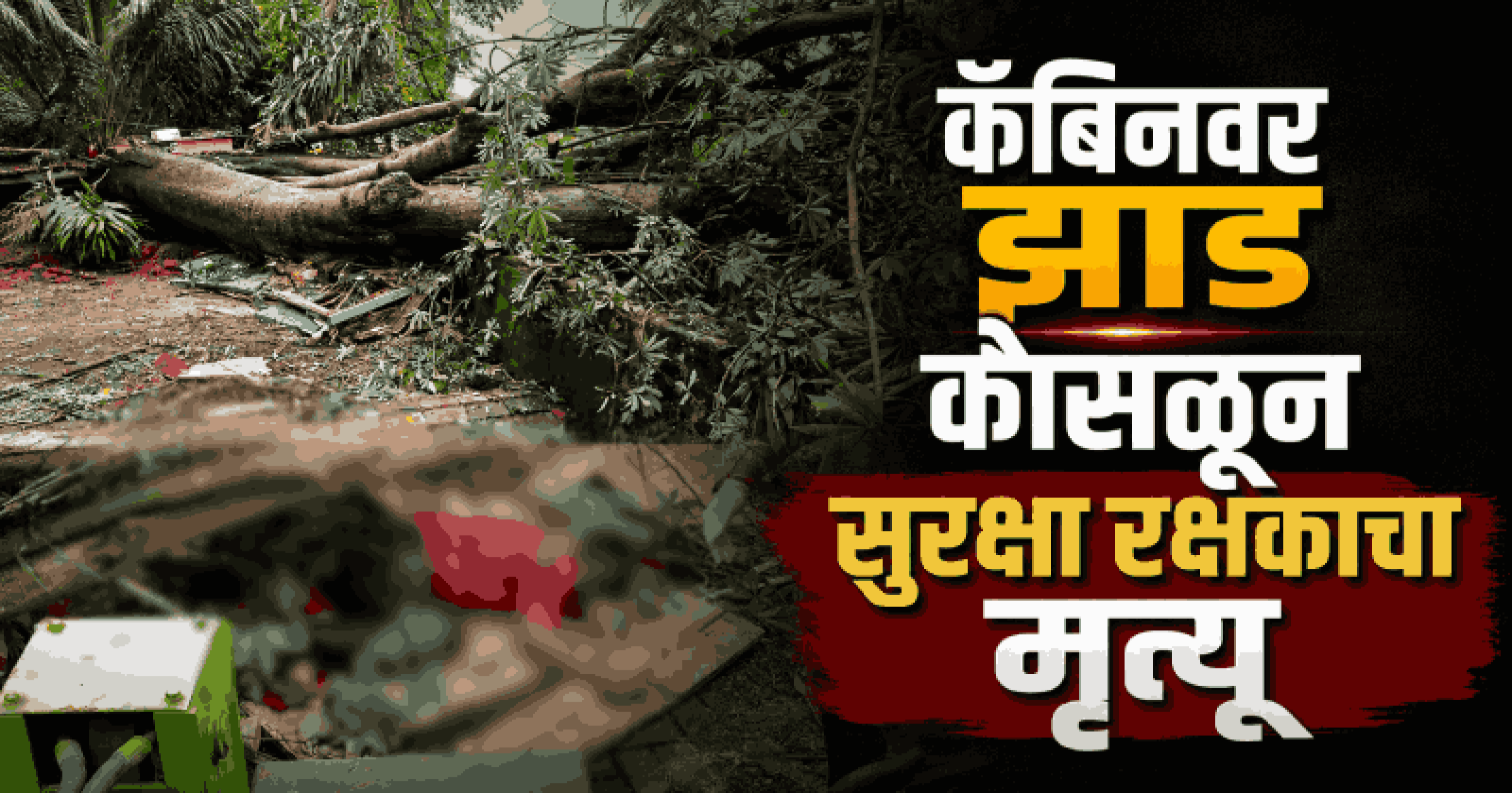 पणजीत 'कामत किनारा'जवळ केबिनवर कोसळले झाड; सुरक्षा रक्षकाचा मृत्यू