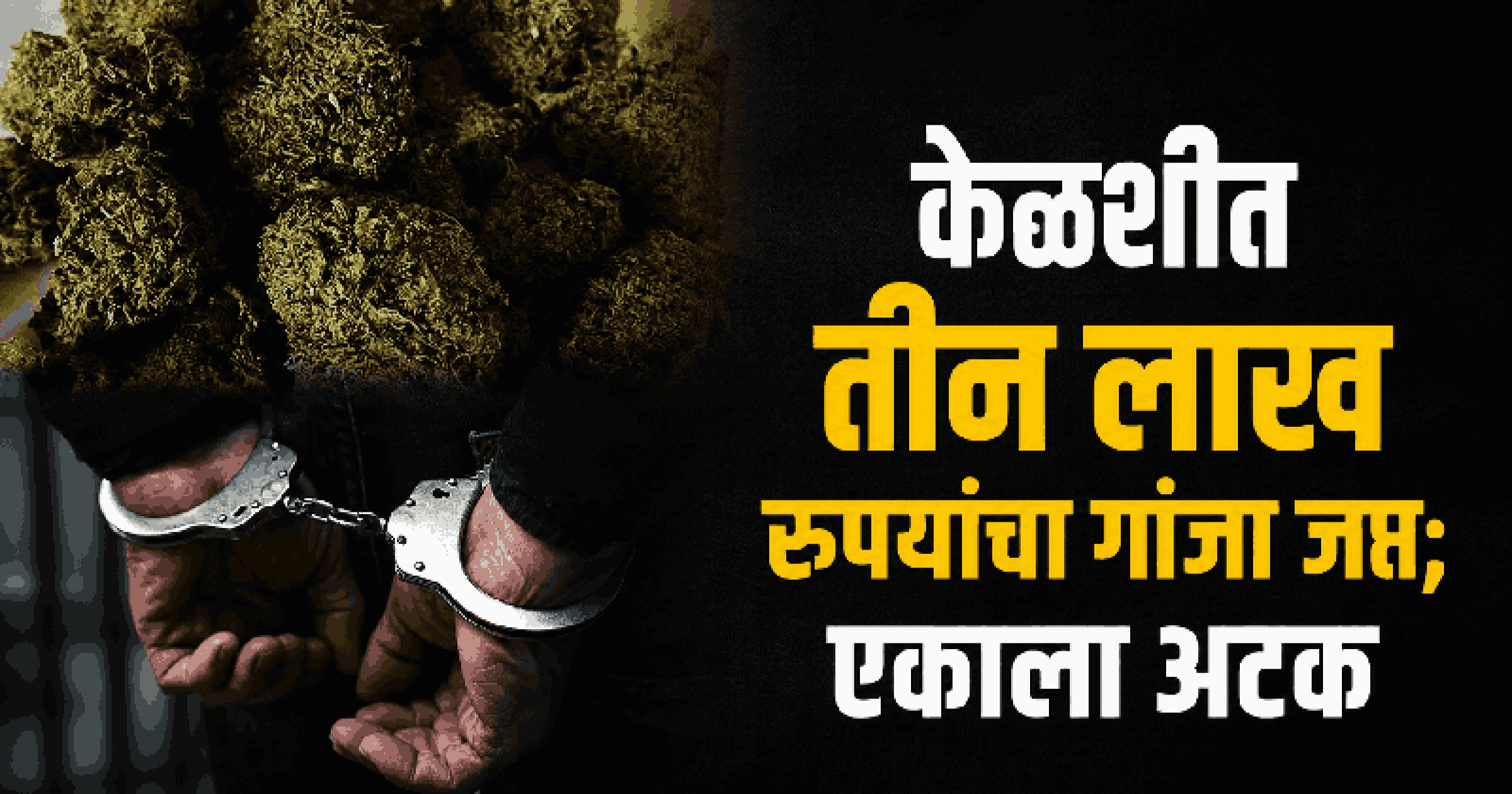 कोलवा पोलिसांची ड्रग्जविरोधी धडक कारवाई, ३.६५० किलो गांजा जप्त