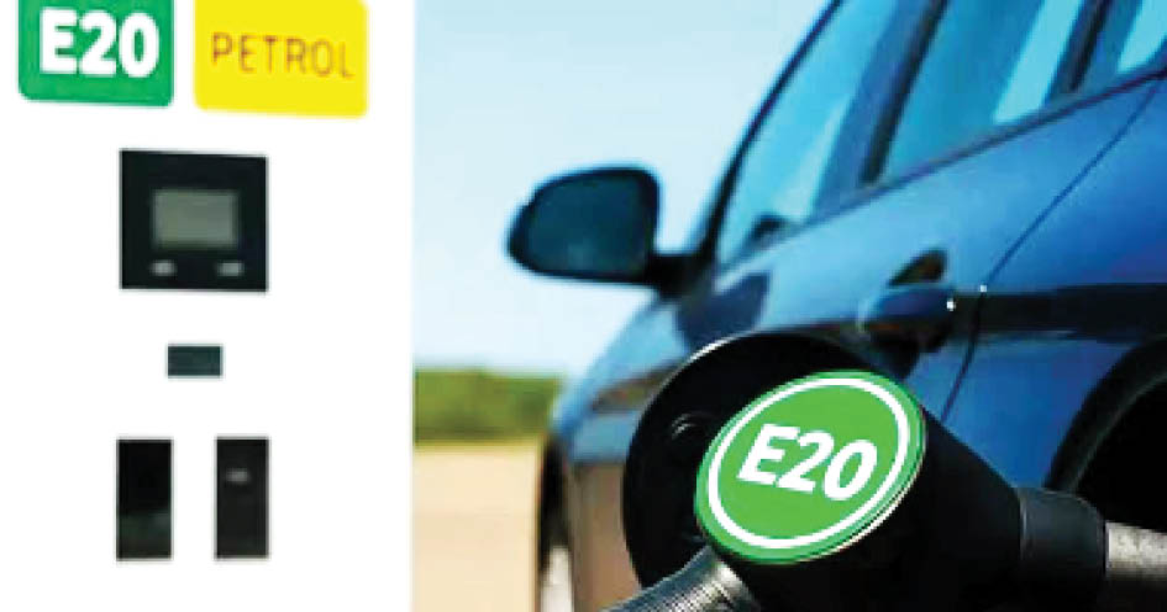 E20 पेट्रोल: गोवा खरोखरच तयार आहे का?