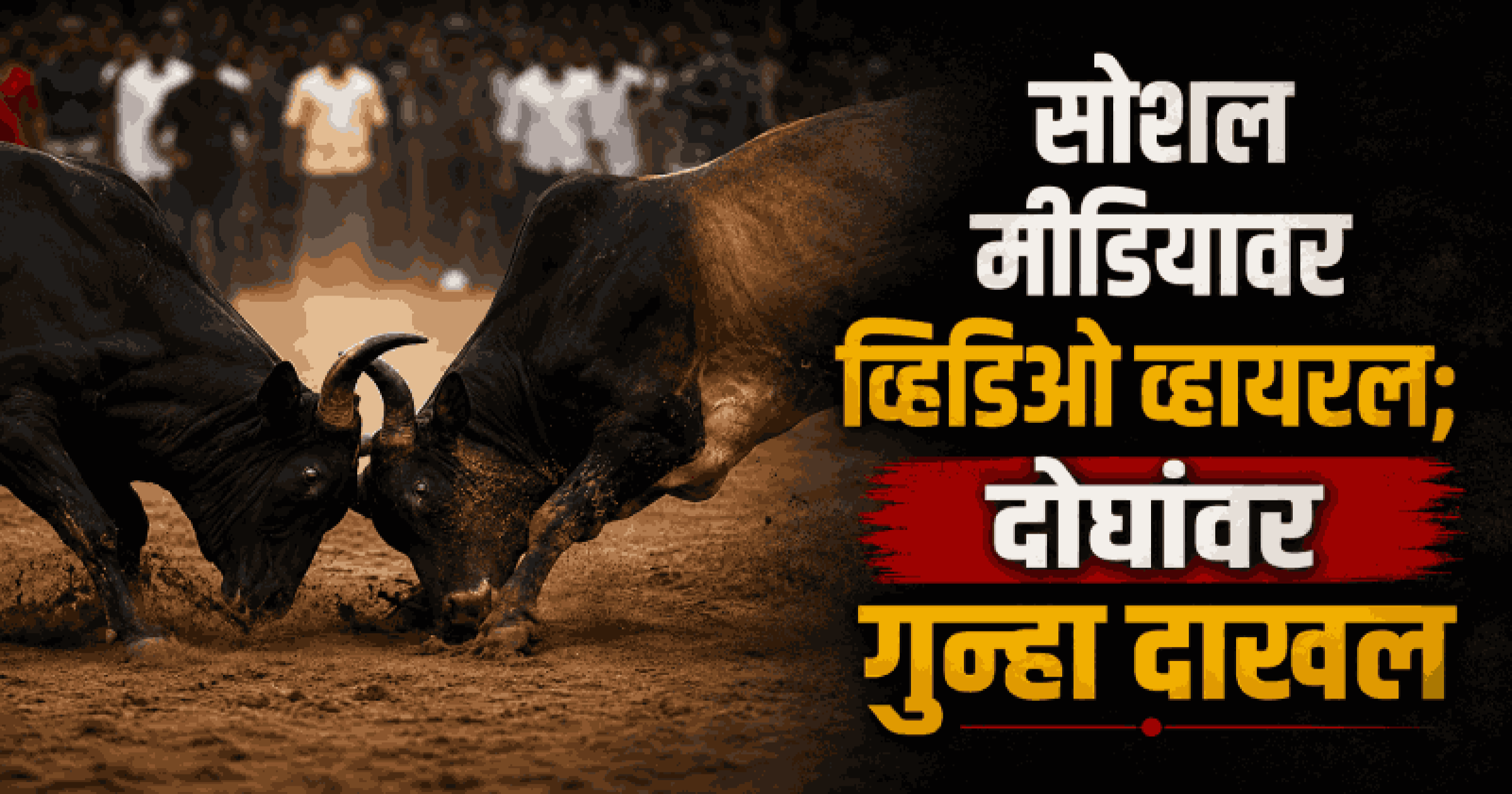 बाणावली येथे बेकायदेशीर धीरयोप्रकरणी कोलवा पोलिसांकडून दोघांवर गुन्हा दाखल