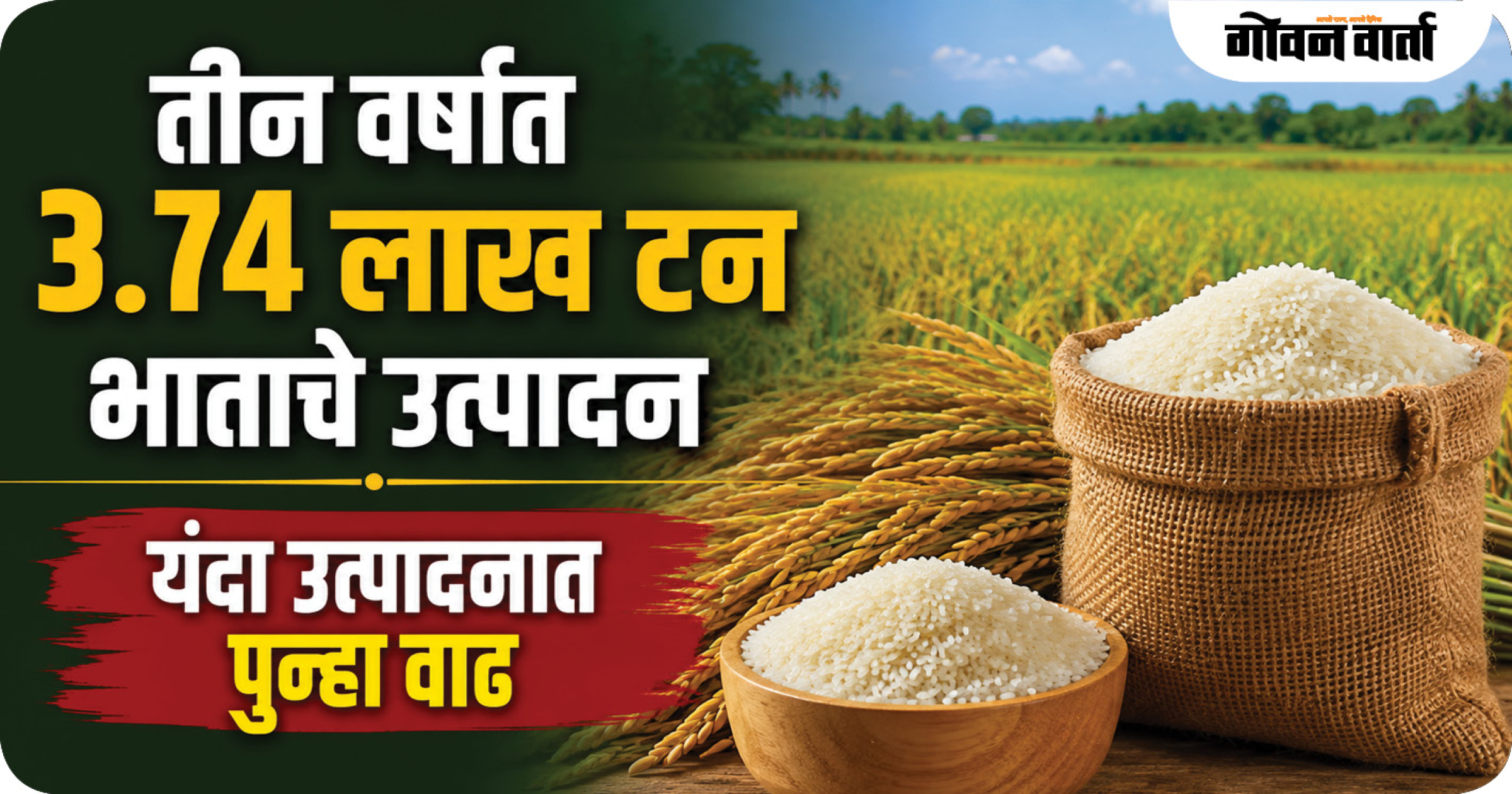 तीन वर्षांत ३.७४ लाख टन भाताचे उत्पादन
