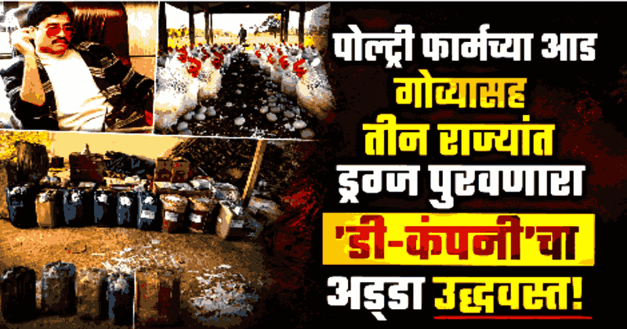 चंदगडमधील पोल्ट्री फार्मवर धाड; १.१३ कोटींचे एमडी ड्रग्ज जप्त, 'डी-कंपनी' कनेक्शन उघड