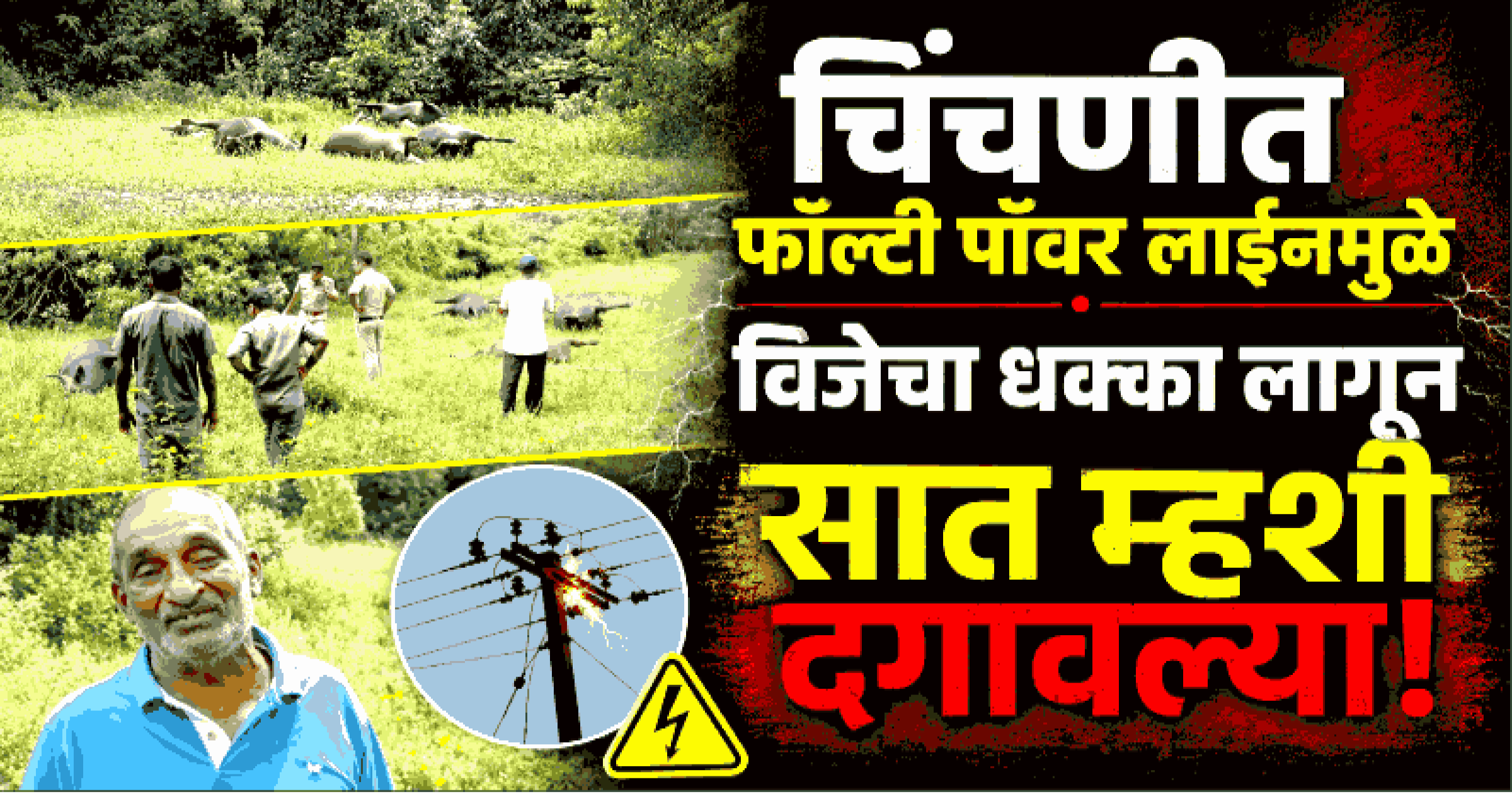 चिंचणी येथे उघड्या विजेच्या तारेचा स्पर्श होवून ७ म्हशी दगावल्या; लाखोंचे नुकसान, शेतकरी हवालदिल