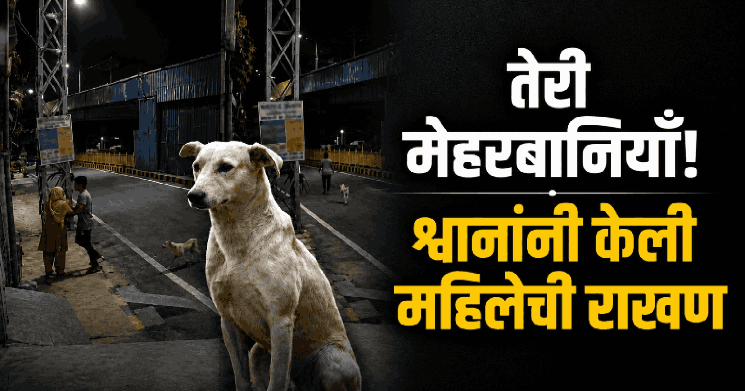 कोइम्बतूर: भटक्या श्वानांनी हाणून पाडला आजारी महिलेवरील अत्याचाराचा प्रयत्न; १६ वर्षीय संशयित जेरबंद