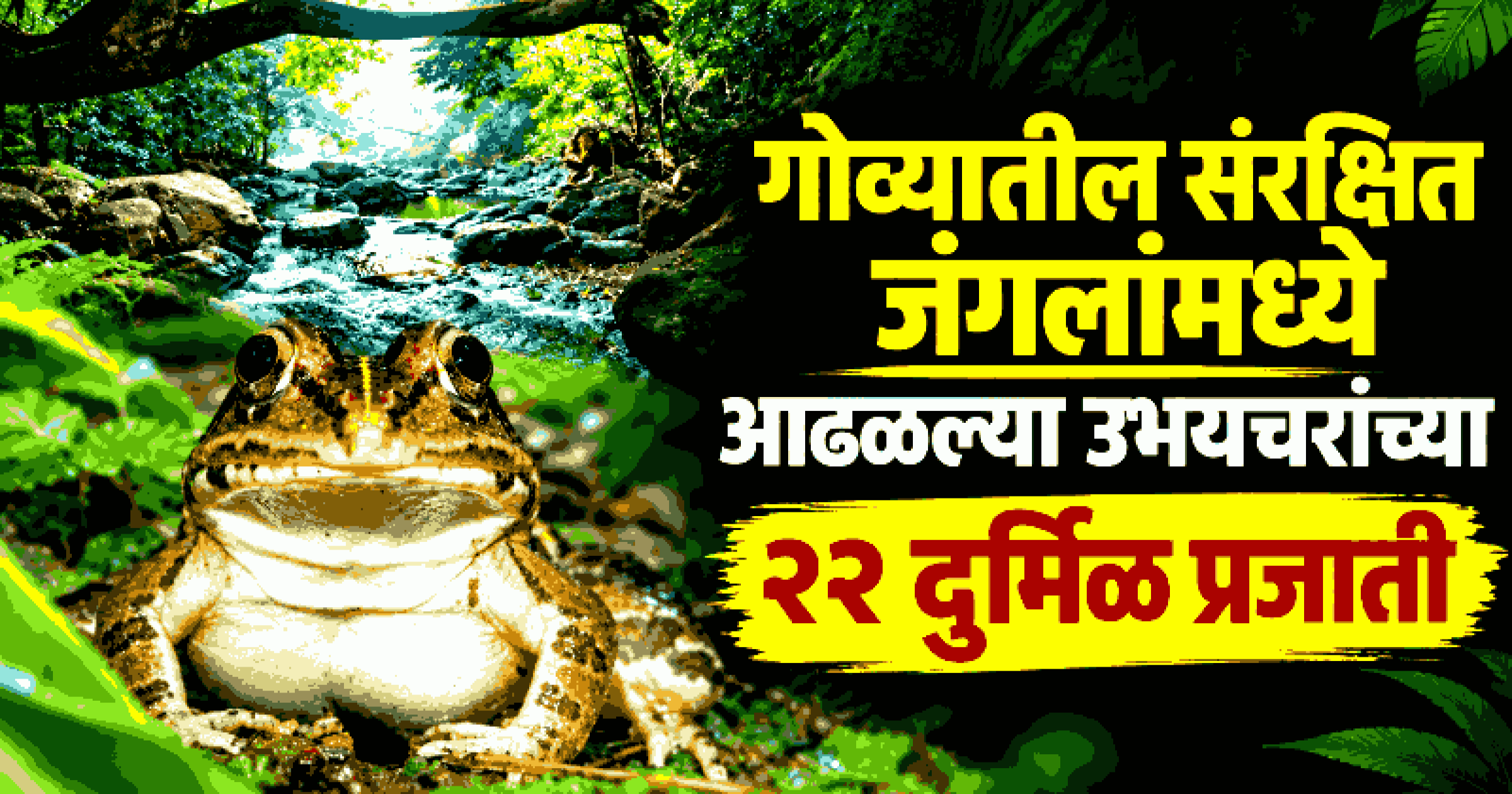 हे माहीत आहे का ? म्हादई जललोट क्षेत्र उभयचरांसाठी सर्वात समृद्ध अधिवास!