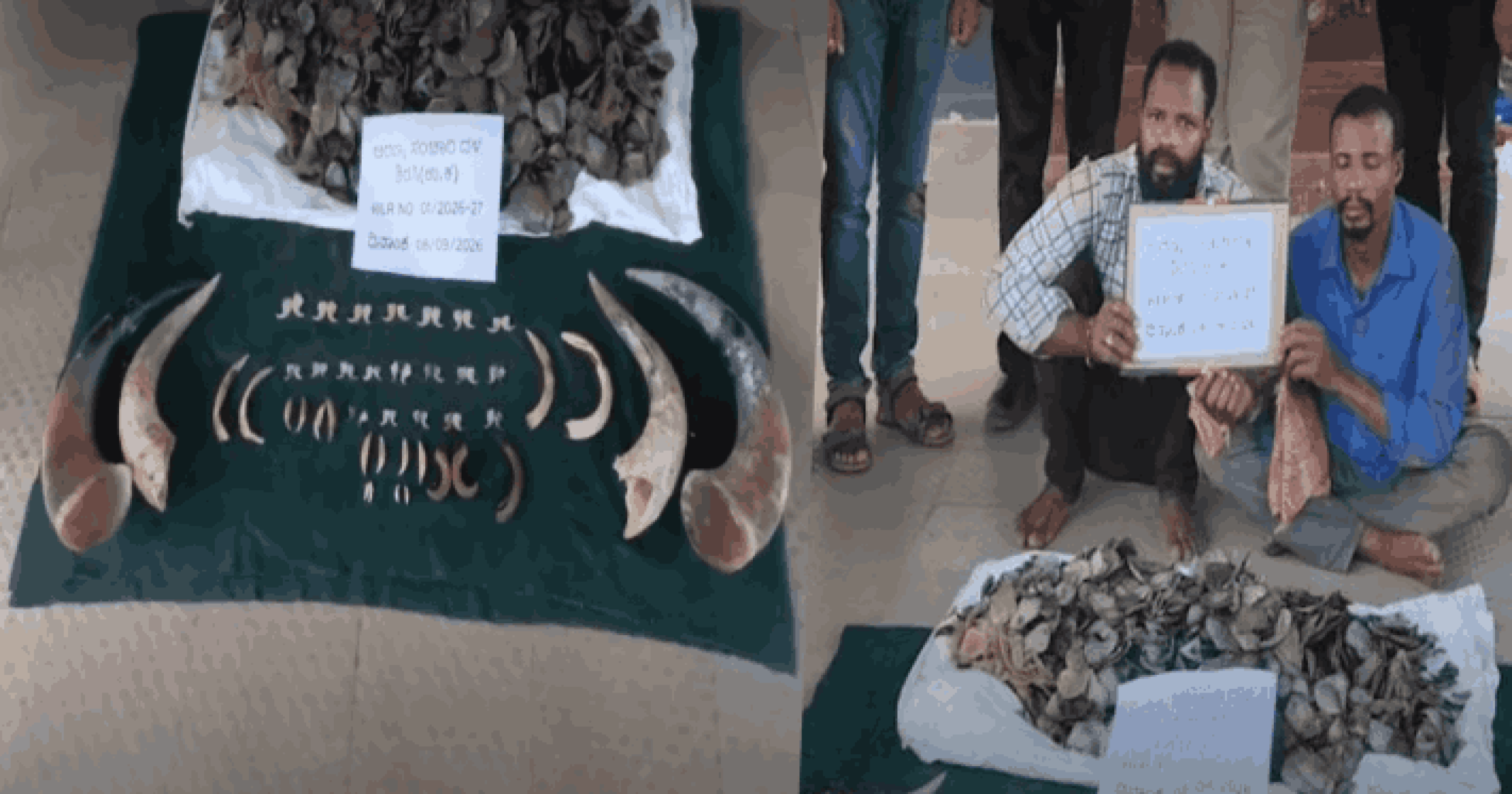 गोवा-कर्नाटक जंगलात शिकार करणाऱ्या टोळीचा पर्दाफाश; दोघांना अटक