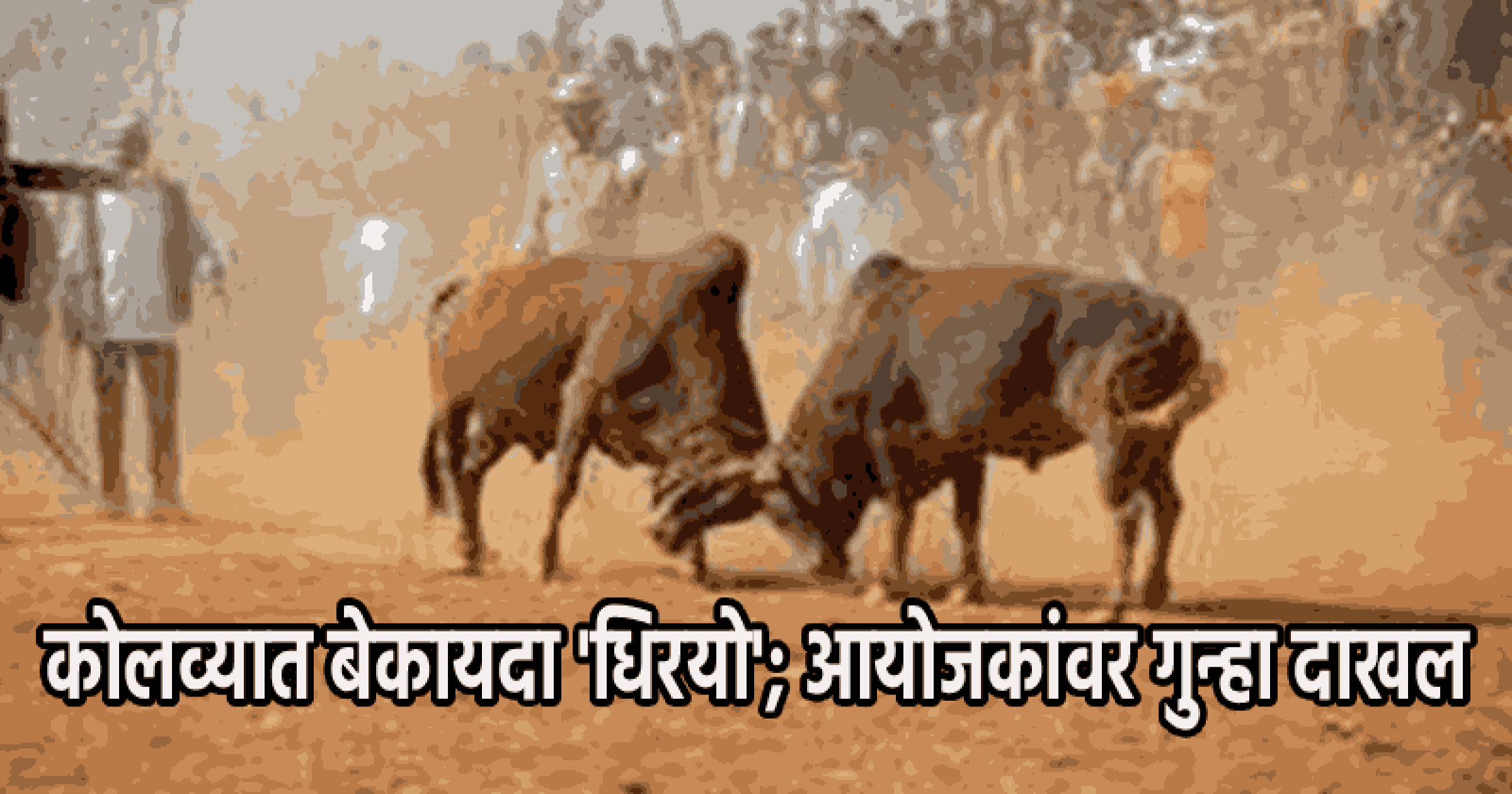कोलव्यात बेकायदा 'धिरयो'चे आयोजन; दोन अज्ञात आयोजकांवर कोलवा पोलिसांत गुन्हा दाखल