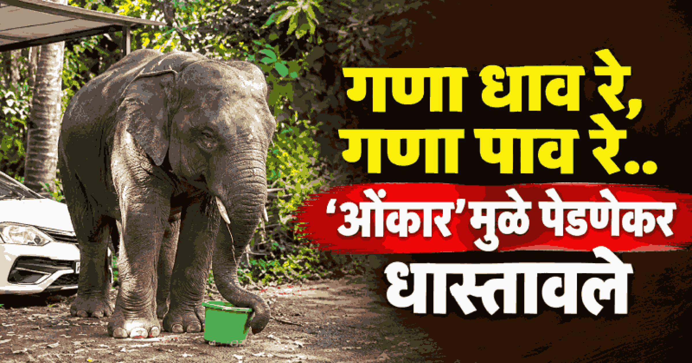 पेडणेत 'ओंकार' हत्तीचा धुमाकूळ; तांबोशे-मोपा परिसरात शेतीचे मोठे नुकसान