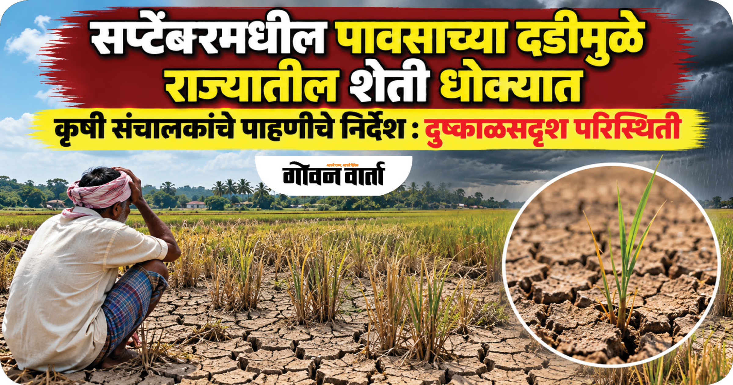 सप्टेंबरमधील पावसाच्या दडीमुळे राज्यातील शेती धोक्यात