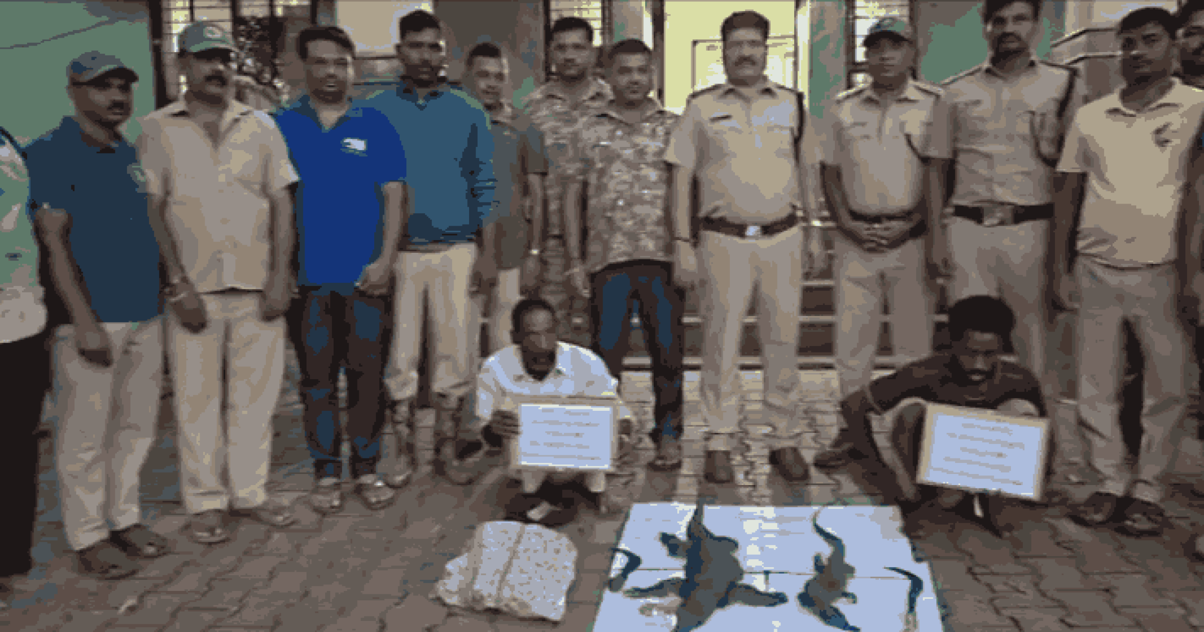 दोन घोरपडींची शिकार; पिता-पुत्राला अटक