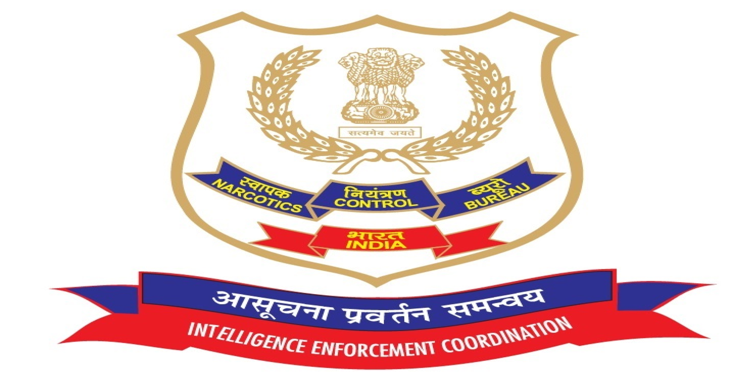 फ्रँकी कार्व्हालो यांच्या जावयाला ड्रग्ज बाळगल्याबद्दल अटक