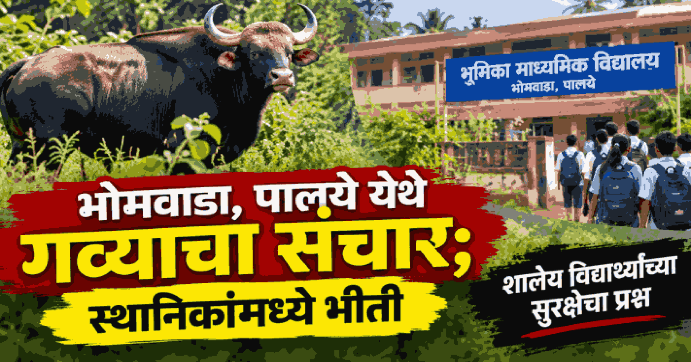 भोमवाडा, पालये येथे गव्याचा संचार; स्थानिकांमध्ये भीती
