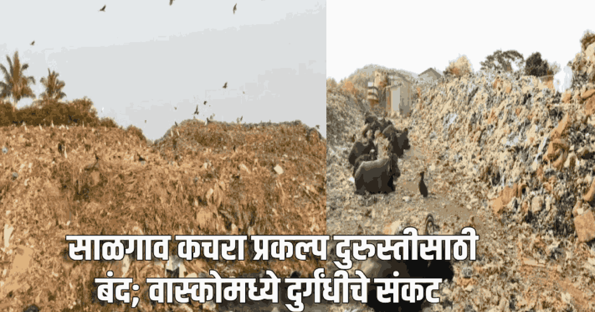 साळगाव कचरा प्रकल्प दुरुस्तीसाठी बंद; वास्कोमध्ये दुर्गंधीचे संकट