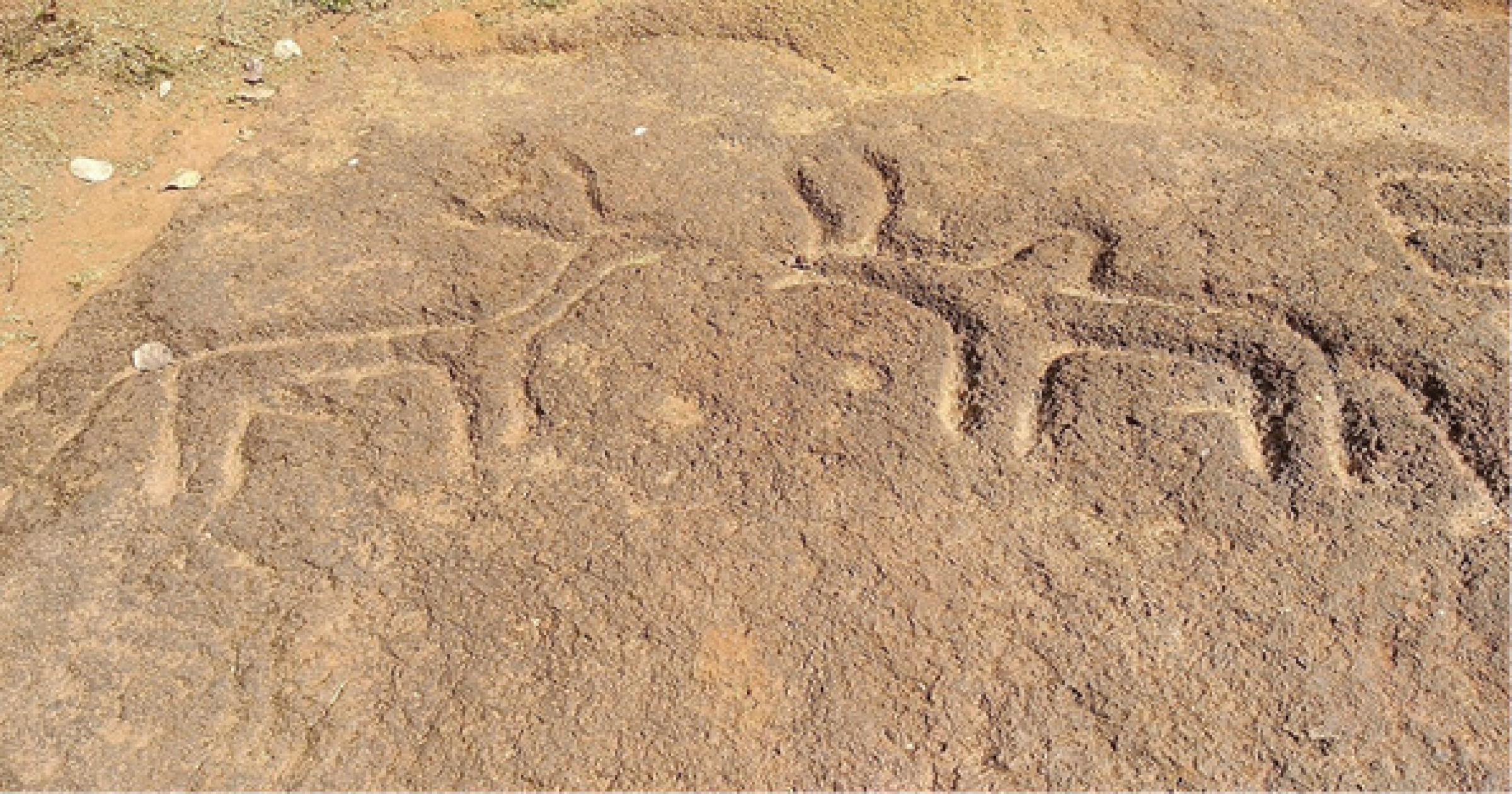 सांगेचे विस्मृतीत गेलेले दुवे