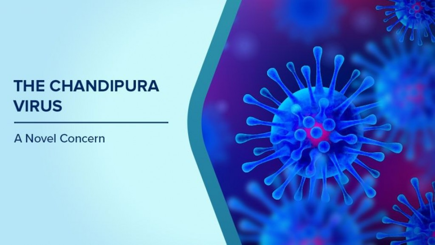#ChandipuraVirus #GujaratHealthUpdate #HealthNews #MarathiNews #KokansadLive #BreakingNews