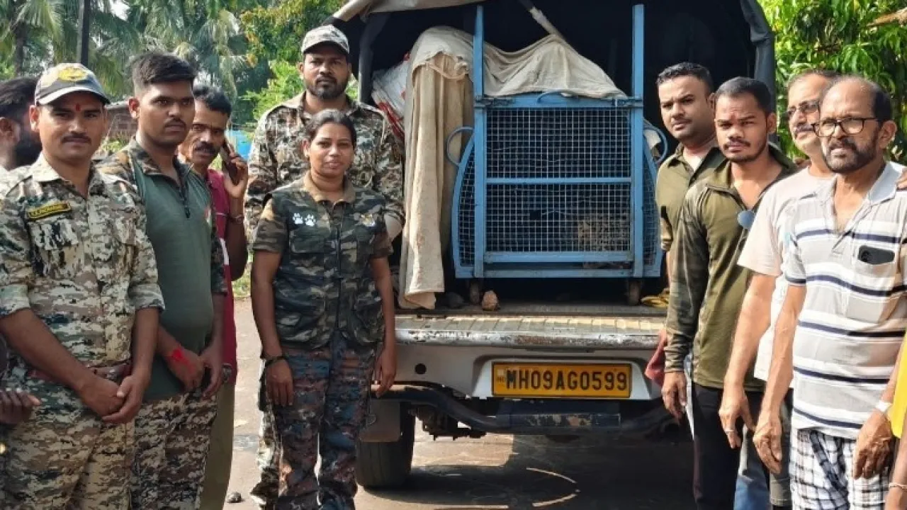 #kokansadlive#news update#konkan update#breaking news 