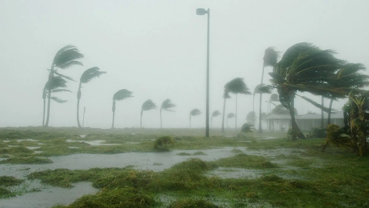  Cyclone Arnab impacts Andhra Pradesh with heavy rain and strong winds