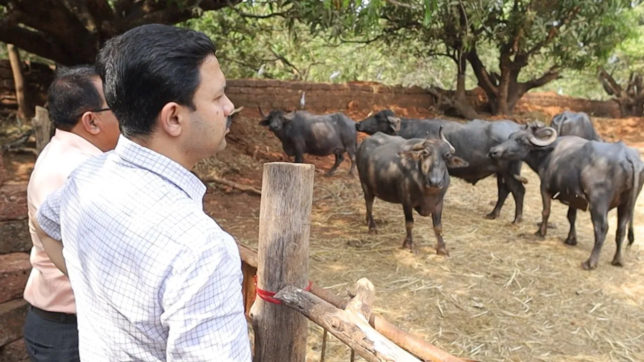 #kokansadlive#news update#konkan update#