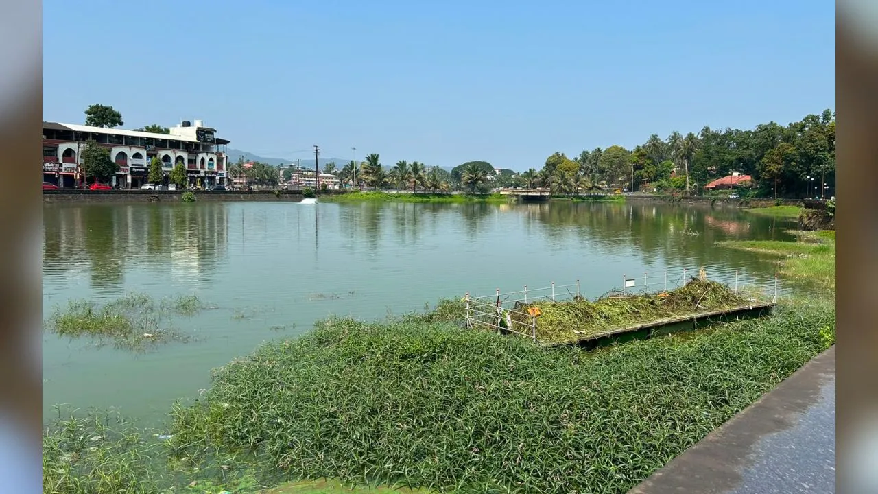 #kokansadlive#news update#konkan update#